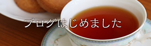 ブログ始めました